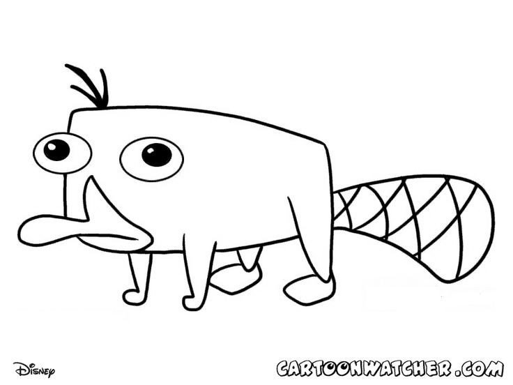 736x552 Phineas And Ferb Coloring Pages To Print Inspirational 63 Best