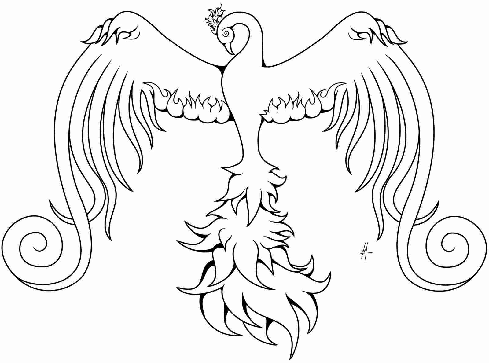 1600x1188 Harry Potter Coloring Book For Adults Phoenix Pages Brilliant