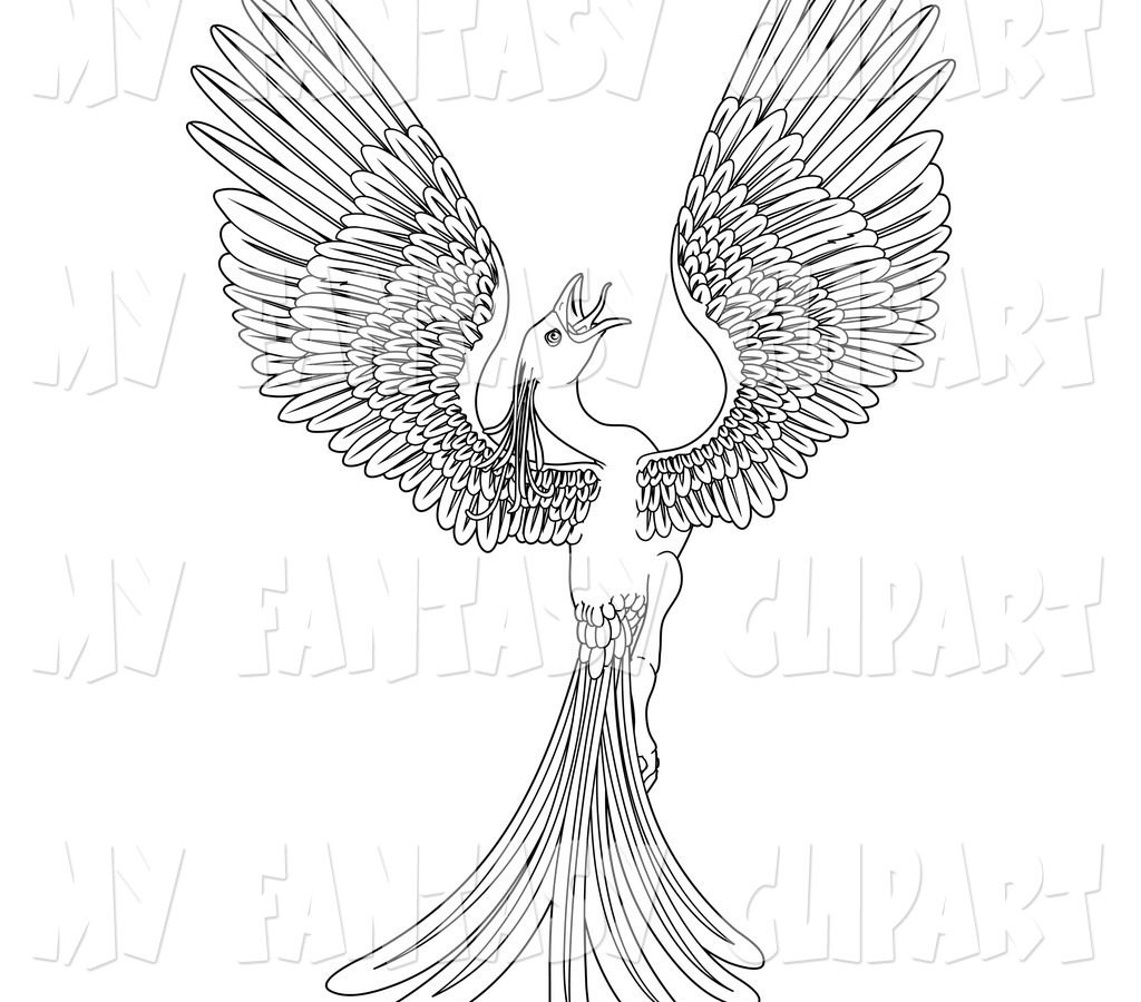 1024x900 Outstandingoenix Coloring Pages For Kids Wright Adults Printable