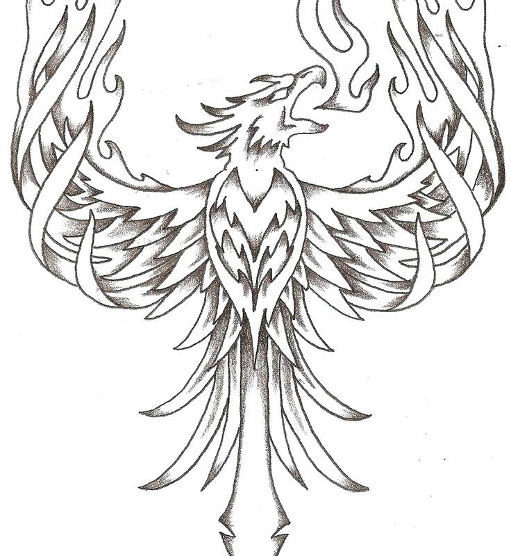736x800 Phoenix Coloring Pages Cute Baby Animal Coloring Pages Cartoon