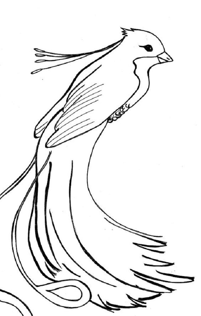 650x1022 Phoenix Bird Coloring Pages Coloring Pages Phoenix
