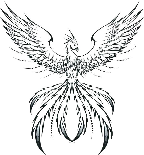 600x646 Full Coloring Pages Phoenix Coloring Pages Phoenix Coloring Pages