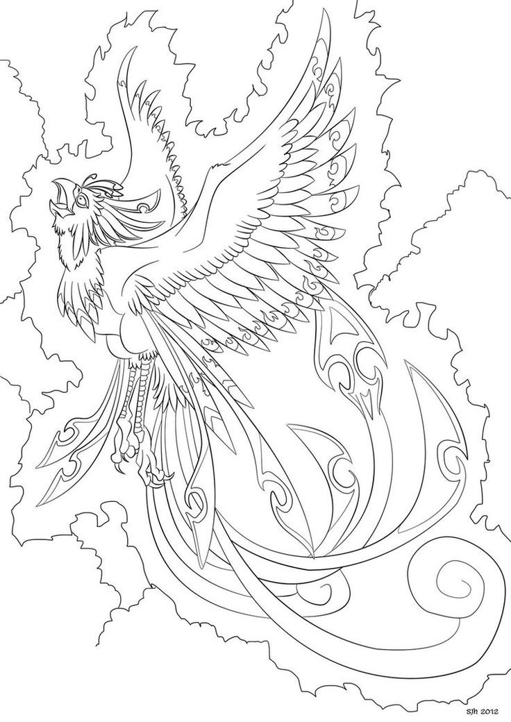 736x1040 73 Best Color Pages Images On Drawings Mandalas And