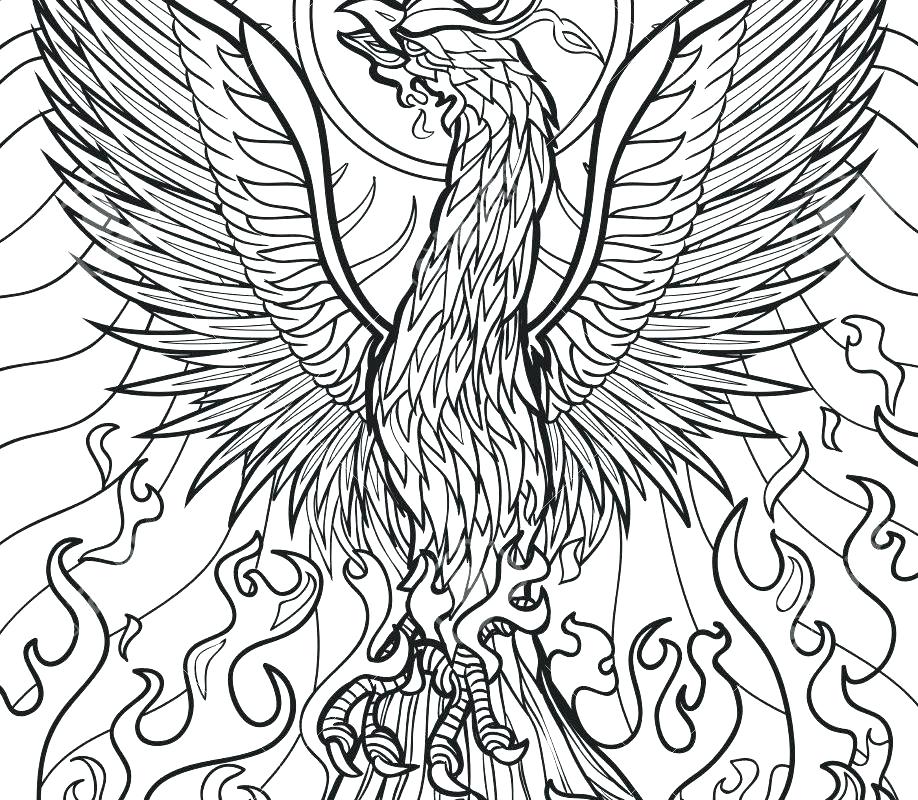 918x800 Phoenix Coloring Pages Phoenix Phoenix Suns Logo Coloring Pages