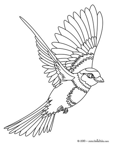 364x470 Phoenix Coloring Pages