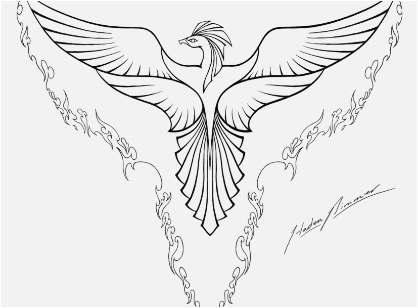 Phoenix Coloring Pages For Adults