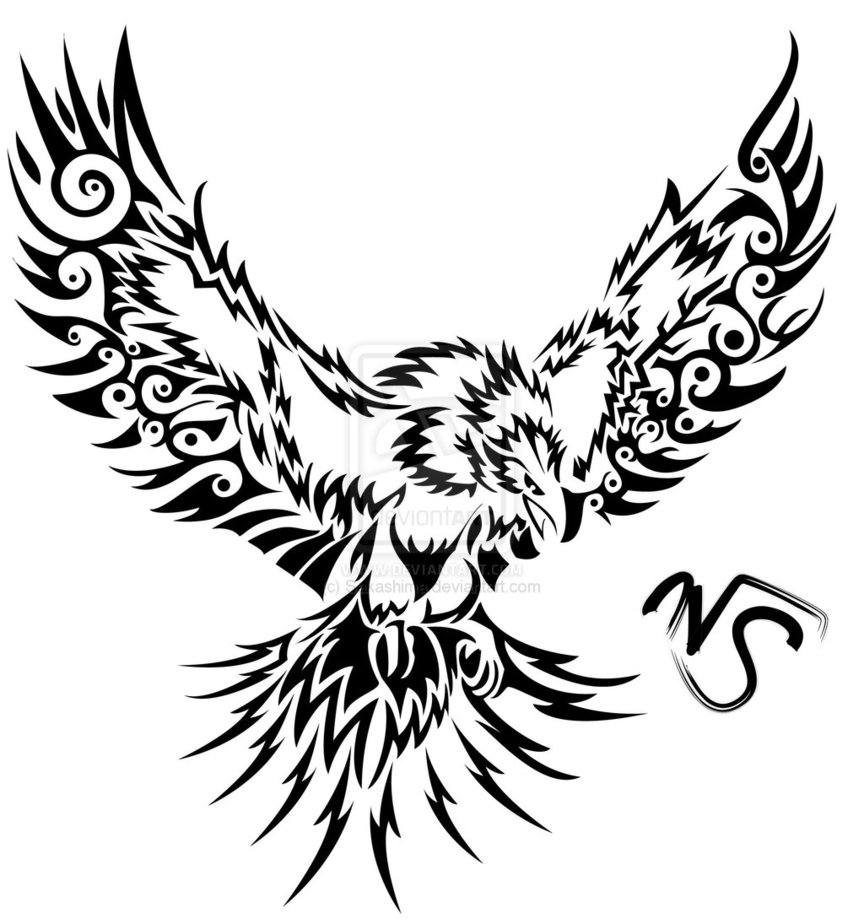 864x924 New Phoenix Coloring Pages Realistic Animal For Adults Adult