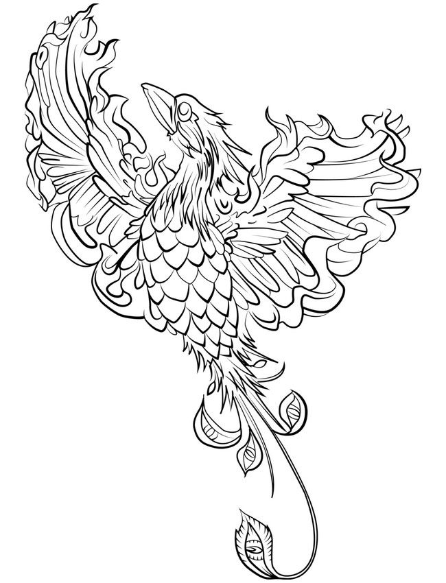 650x850 Adult Coloring Pages Animals Coloring Anti Stress