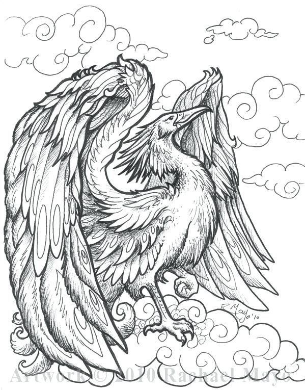 599x765 Phoenix Coloring Pages Phoenix Coloring Pages For Adults