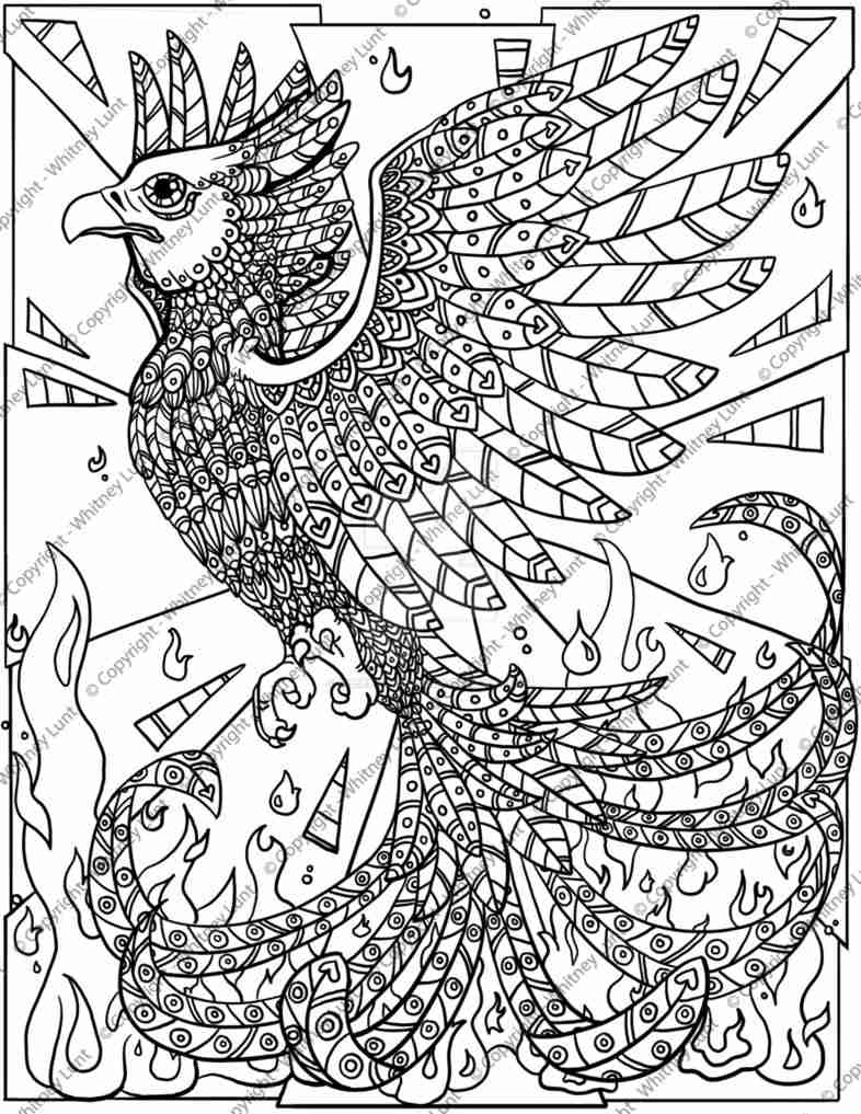 786x1017 Rebirth Small And Phoenix Coloring Page Coloring Pages