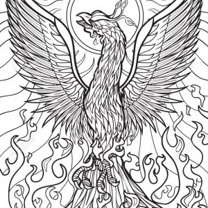 300x300 Coloring Pages Phoenix Bird Copy Ideas Phoenix Coloring Pages