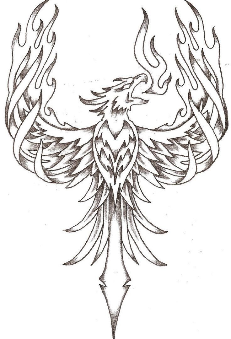 736x1080 Ideas Phoenix Coloring Pages Extreme For Adult Bird Page Free