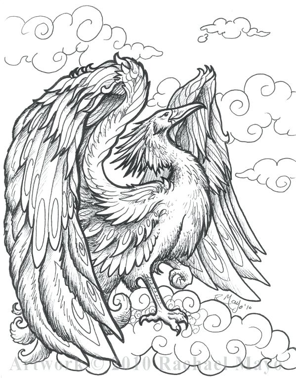 599x765 Phoenix By On Coloring Cute Coloring Free Printable Phoenix