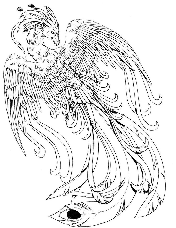 736x952 Phoenix Coloring Page Phoenix Coloring Pages Phoenix Coloring