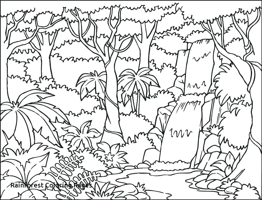 1009x768 Coloring Pages From Photos Coloring Pages Cartoon Coloring Pages