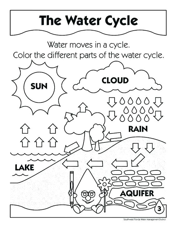564x727 Photosynthesis Coloring Page The Photosynthesis Coloring Page Free