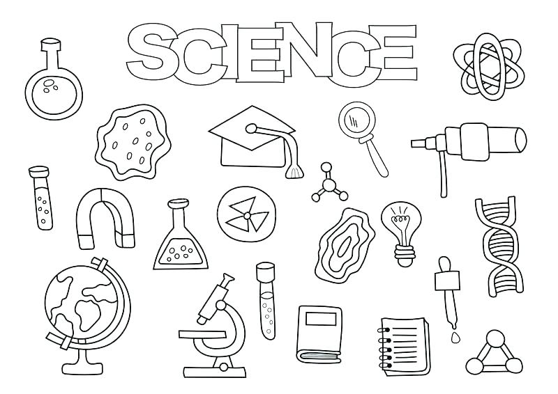 800x566 Digestive System Coloring Sheet