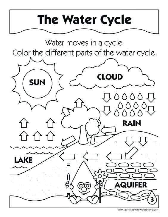 564x727 Science Color Pages Grandmaman.site