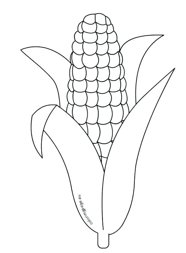 618x839 Coloring Page Cornucopia Free Pictures Corn Pages Printable