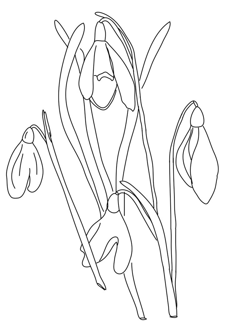 Picket Fence Coloring Pages