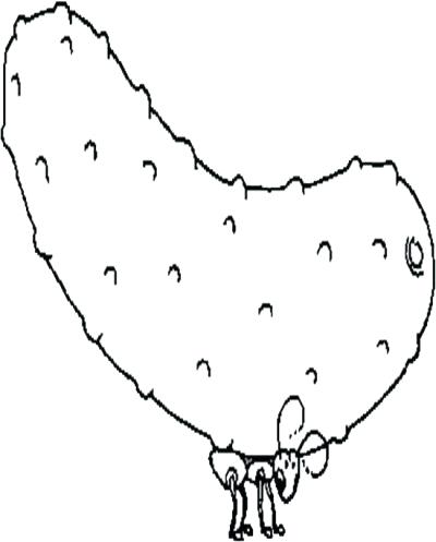 400x497 Pickle Coloring Page Ant N Pickle Coloring Page Pickle And Peanut