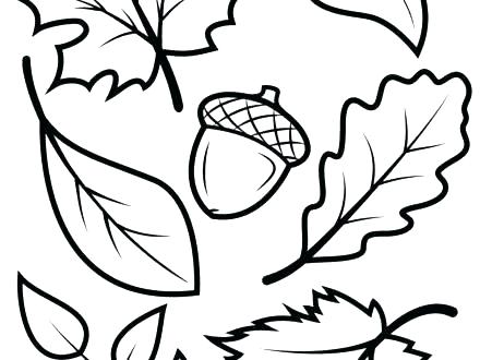 440x330 Autumn Leaf Coloring Pages Coloring Pages Of Fall Leaves Autumn