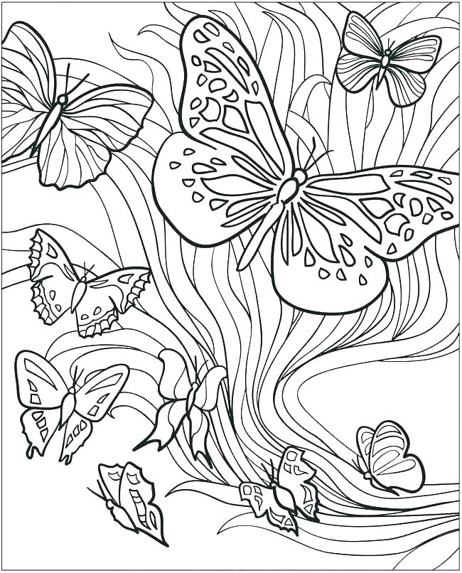 650x806 Butterfly Coloring Pages For Adults Printable Free Printable