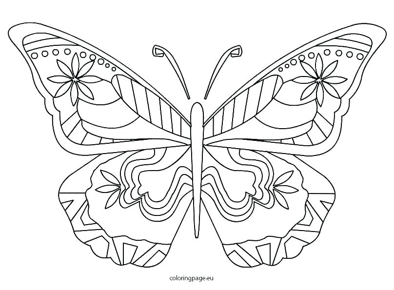 808x595 Ideas Detailed Butterfly Coloring Pages And 91 Printable