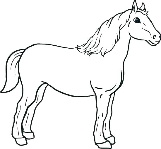 550x509 Free Printable Mustang Horse Coloring Pages
