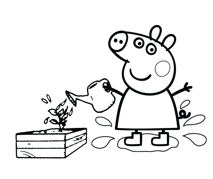 878x737 Coloring Peppa Pig