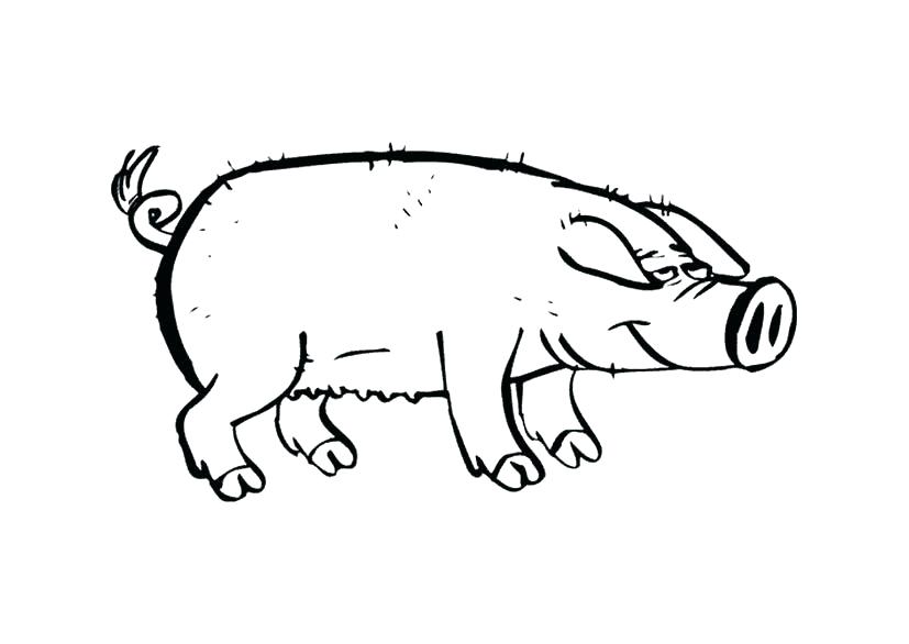827x586 Or Pig Coloring Sheet Preschool For Fancy Print Image Peppa Pig