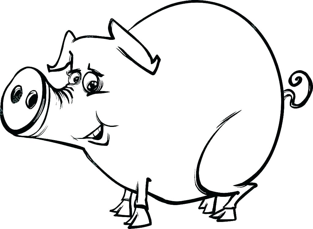 1023x747 Pigs Coloring Pages Two Pigs Coloring Pages Two Pigs Coloring Page