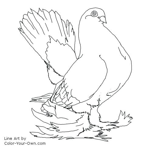 500x500 Mo Willems Coloring Pages Free Kids Coloring Nonsensical Pigeon