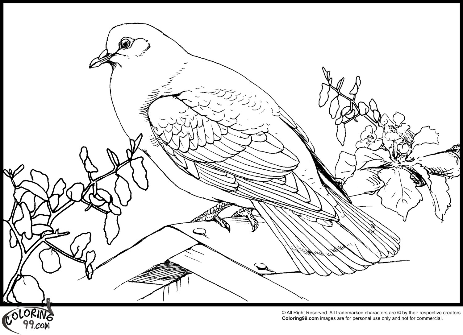 1500x1086 Peace Dove Coloring Page Printable Pages Click The To View Version