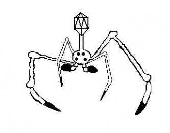 333x261 Pikmin 2 Coloring Pages Coloring Pages