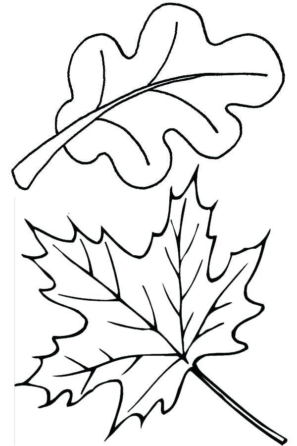 600x900 Fall Leaves Coloring Pages