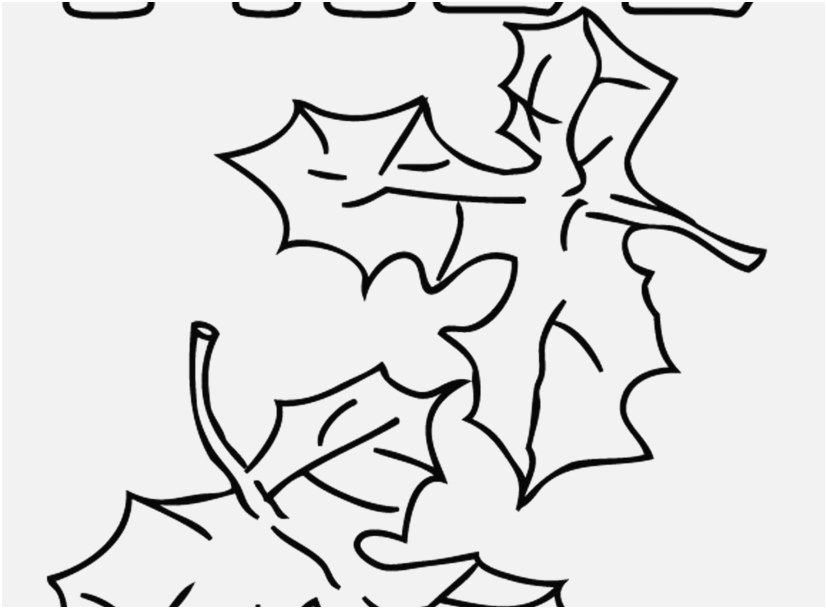 827x609 Leaf Coloring Pages Concept 50 Elegant Image Leaves Coloring Pages