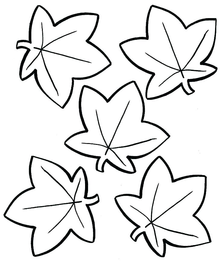 736x868 Leaves Coloring Page Coloring Pages Autumn Fall Leaf Coloring Page