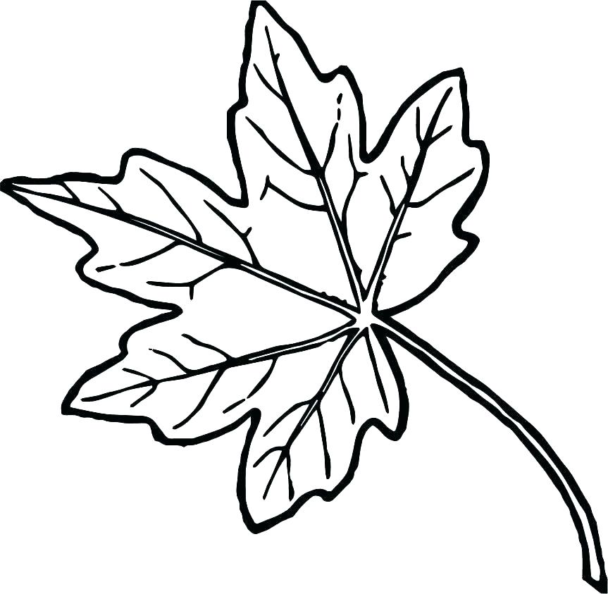 863x843 Leaves Coloring Pages Pile Of Leaves Coloring Pages Autumn Maple