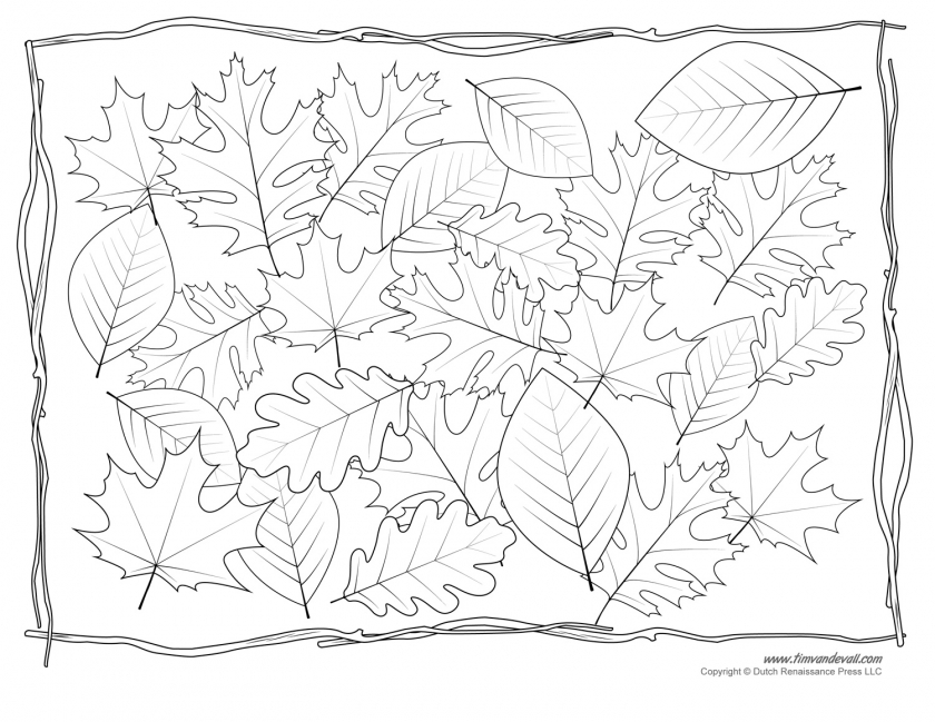 840x649 Click To See Printable Version Of Fall Autumn Leaves Coloring Page