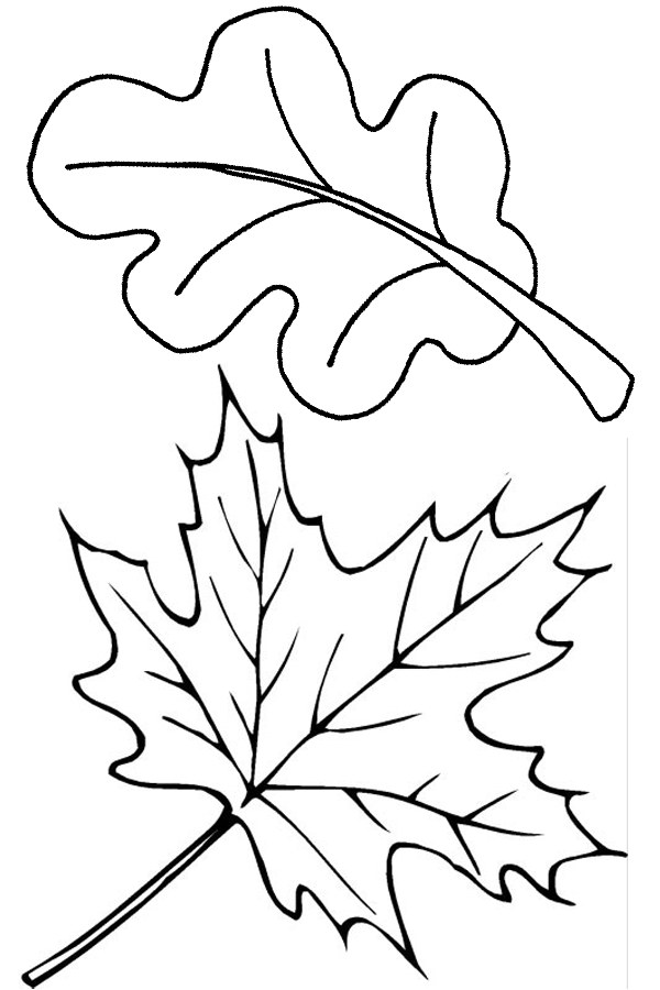 600x900 Autumn Leaves Coloring Pages