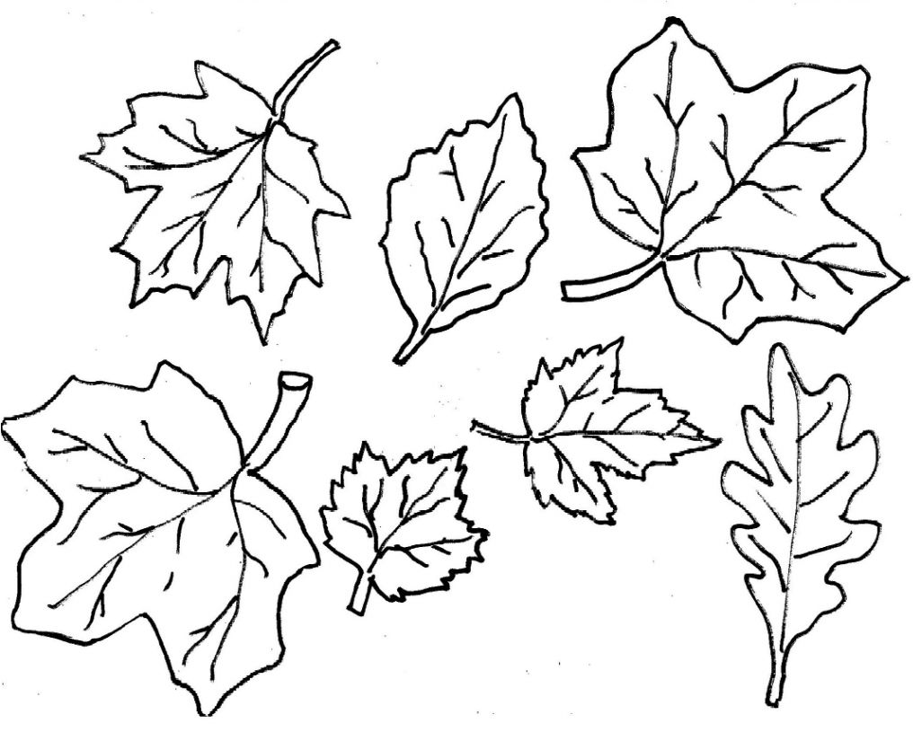 1026x815 Awesome Fall Leaves Coloring Pages 43 About Remodel Picture