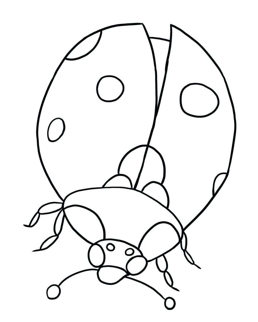 1024x1280 Fortune Pill Bug Coloring Page Drawing At Getdrawings Com Free