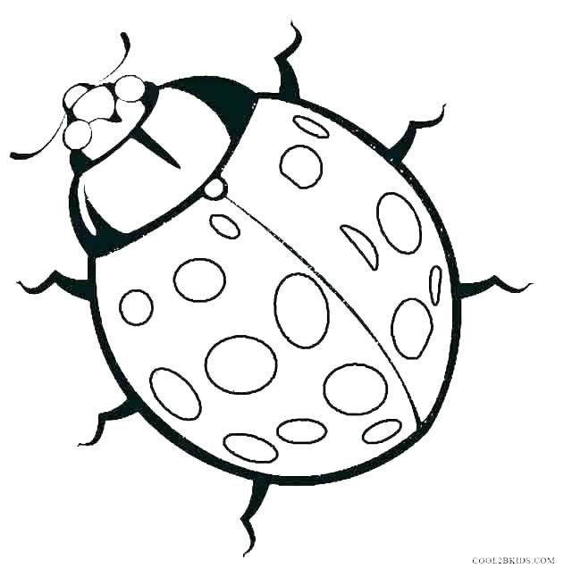640x646 Pill Bug Coloring Page Beautiful The Best 100 Bugs Coloring Page
