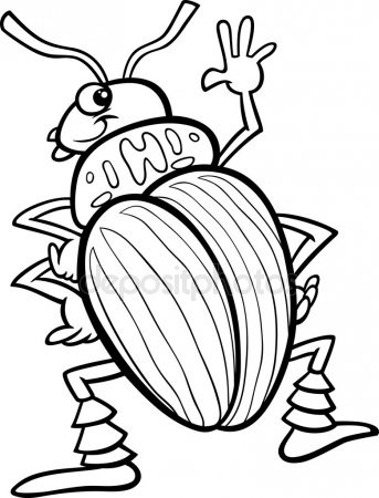 343x450 Pill Bug Coloring Page Luxury Beetle Stock Vectors Royalty Free