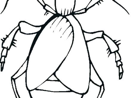 440x330 Bug Coloring Sheet Bug Coloring Sheets Best Collection Coloring