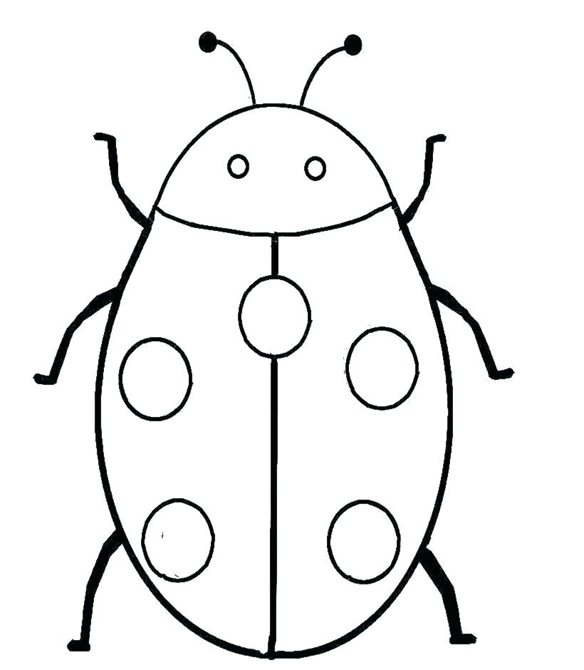 820x940 Bug Coloring Sheet Insect Pill Bug Coloring Sheet Teleks.site