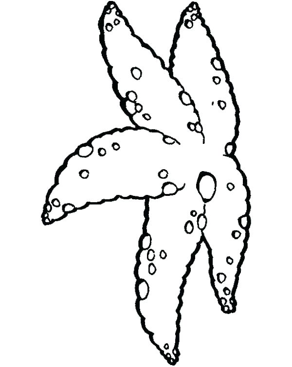 600x755 Starfish Coloring Page Star Coloring Page Starfish Coloring Pages