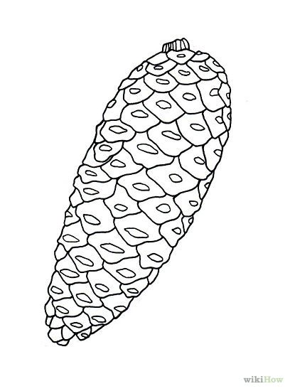 408x550 Draw A Pinecone Pinecone, Doodles And Paintings