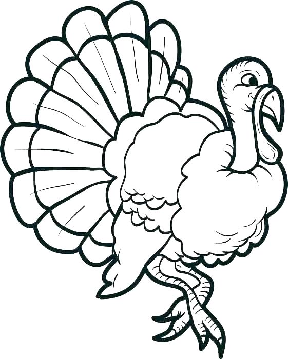 561x700 Pine Cone Coloring Page Turkey Printable Pine Cone Coloring Page